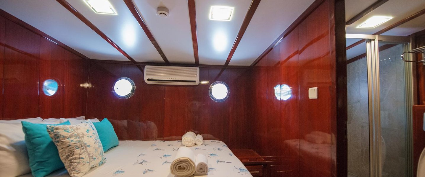 alt_prefix Phoenix Bronze (Ex Vivere) 