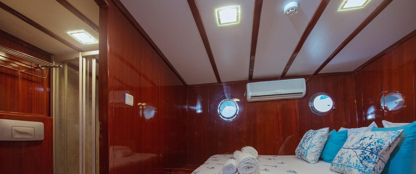 alt_prefix Phoenix Bronze (Ex Vivere) 