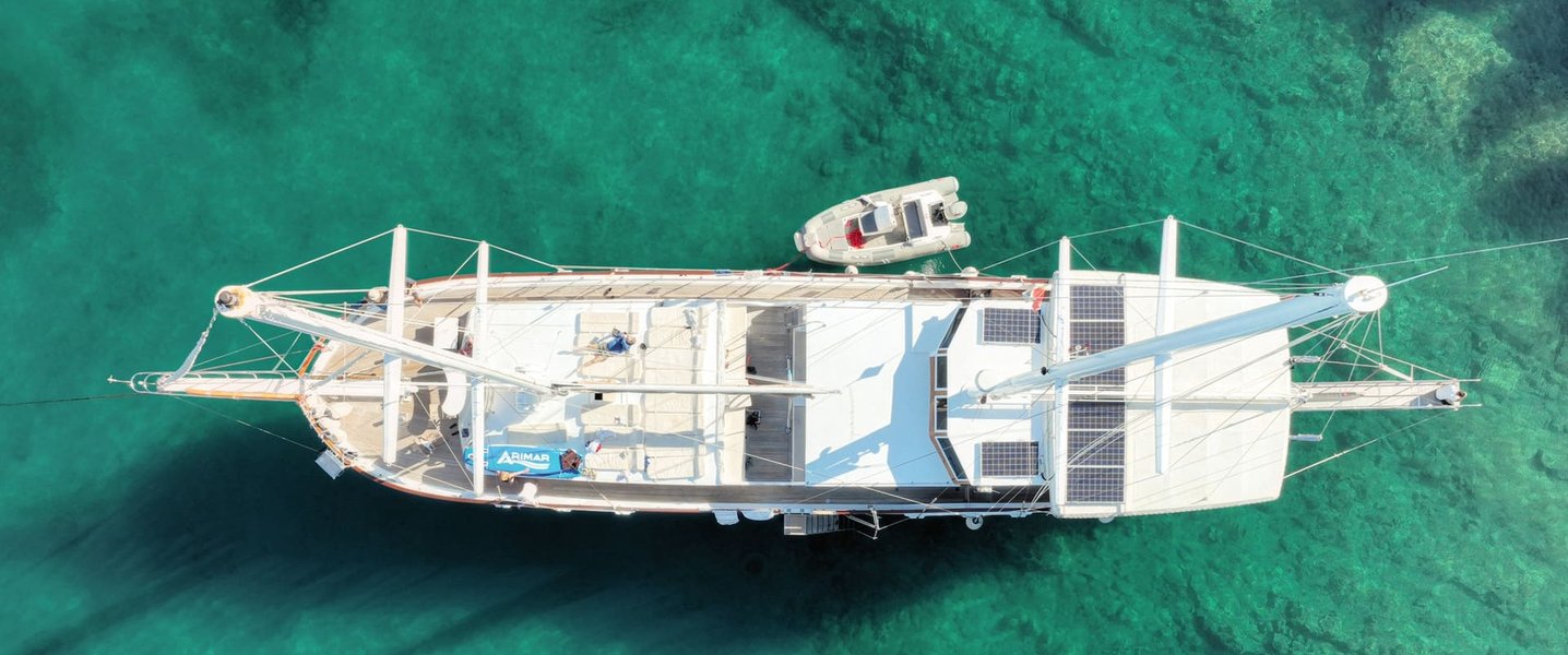 alt_prefix Phoenix Bronze (Ex Vivere) 