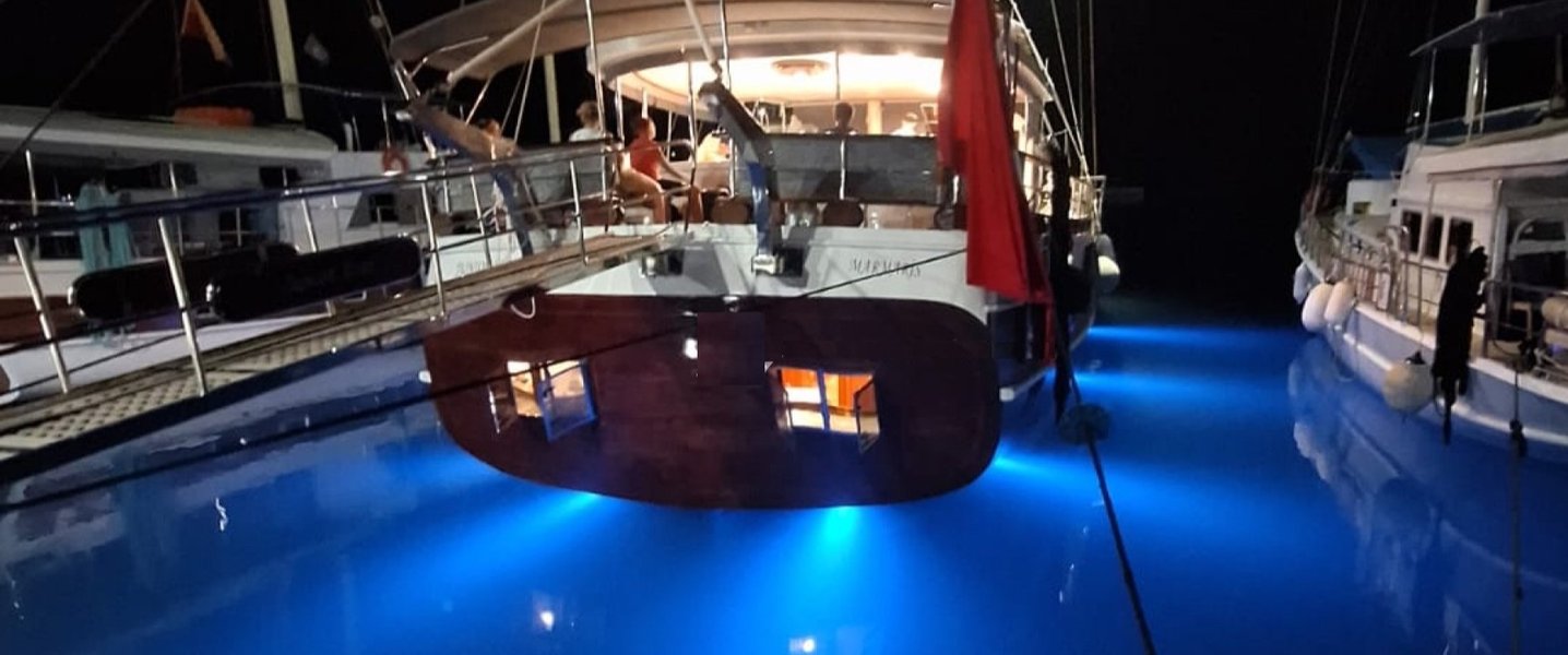 alt_prefix Junior Berk 