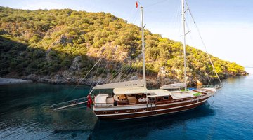 alt_prefix Dear Lila 