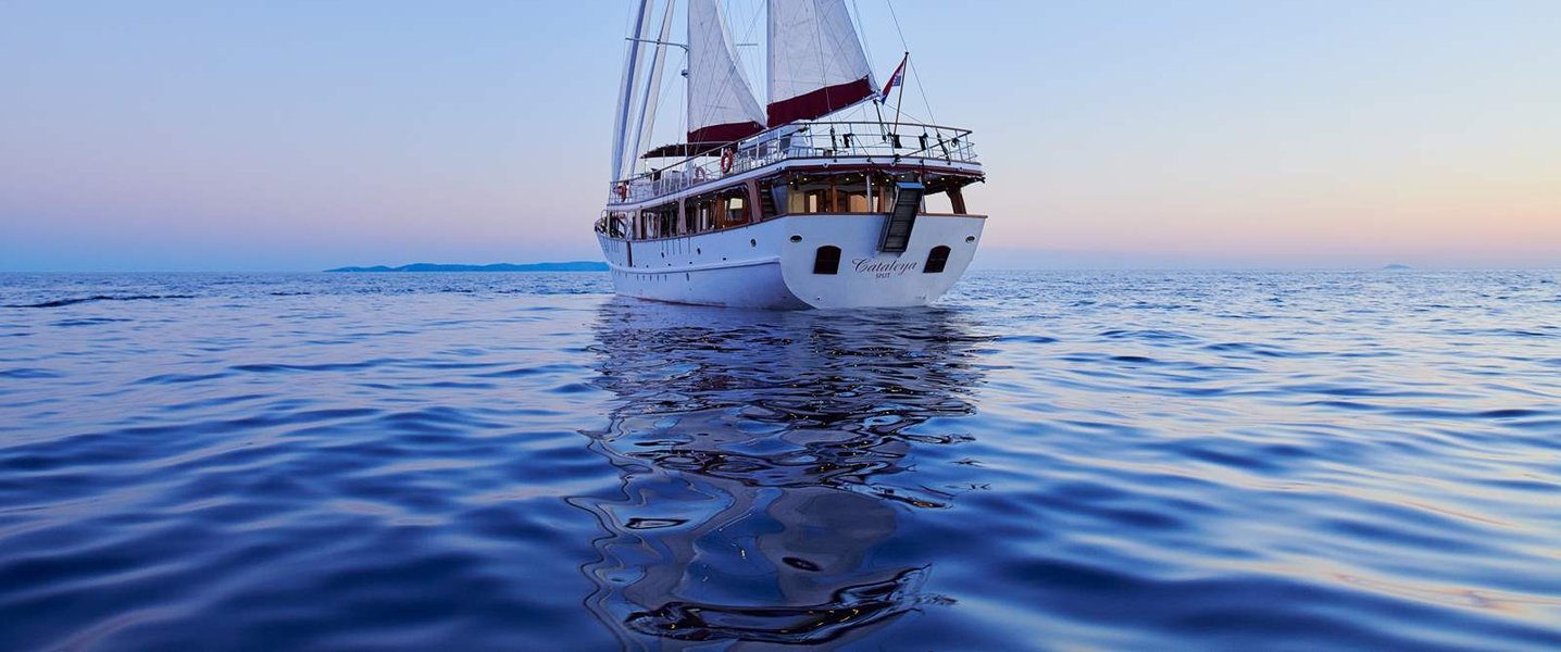 alt_prefix Cataleya (ex Vjeko) 