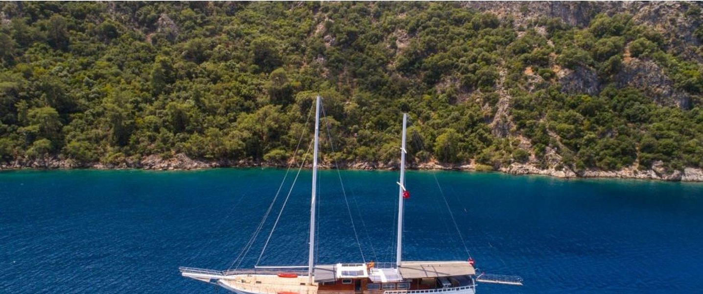 alt_prefix Albatros D 