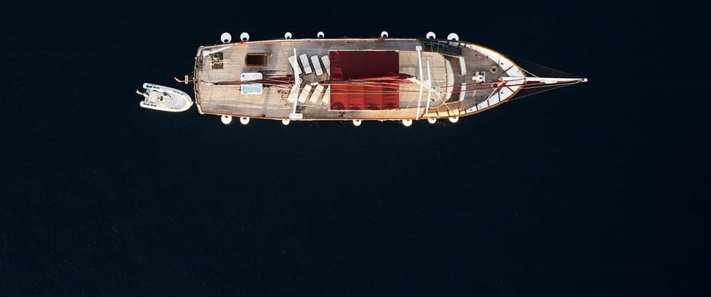 alt_prefix Cataleya (ex Vjeko) 