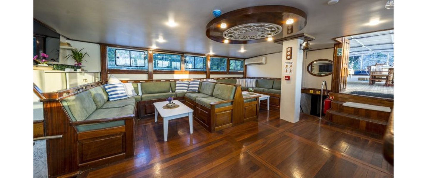 alt_prefix Holiday X 