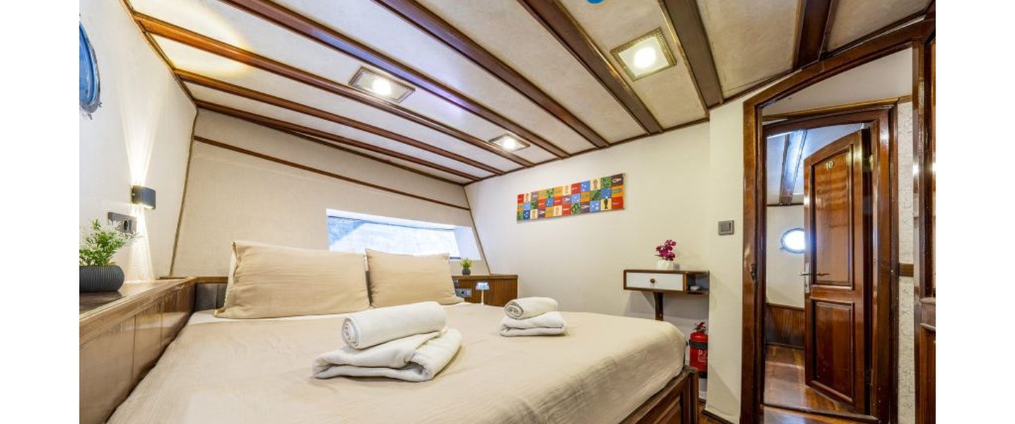 alt_prefix Holiday X 