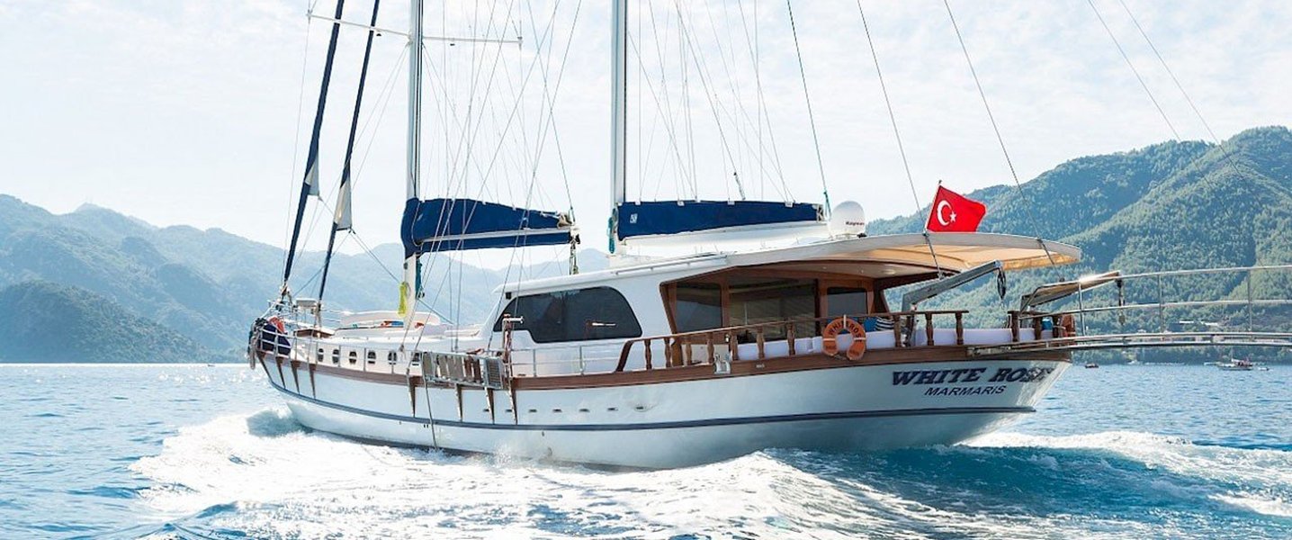 alt_prefix White Rose 