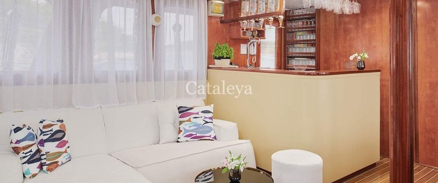 alt_prefix Cataleya (ex Vjeko) 