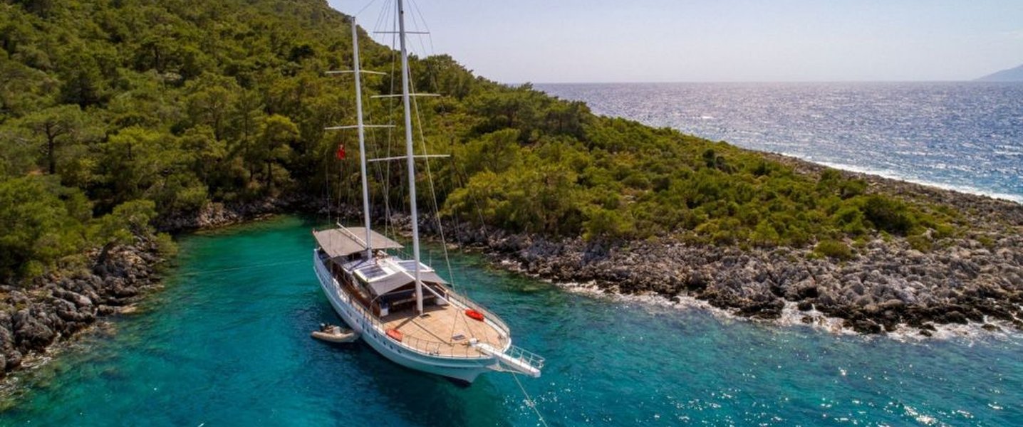 alt_prefix Albatros D 