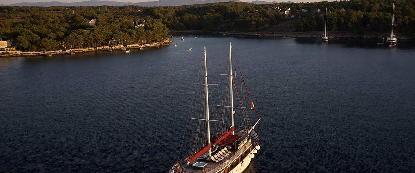 alt_prefix Cataleya (ex Vjeko) 