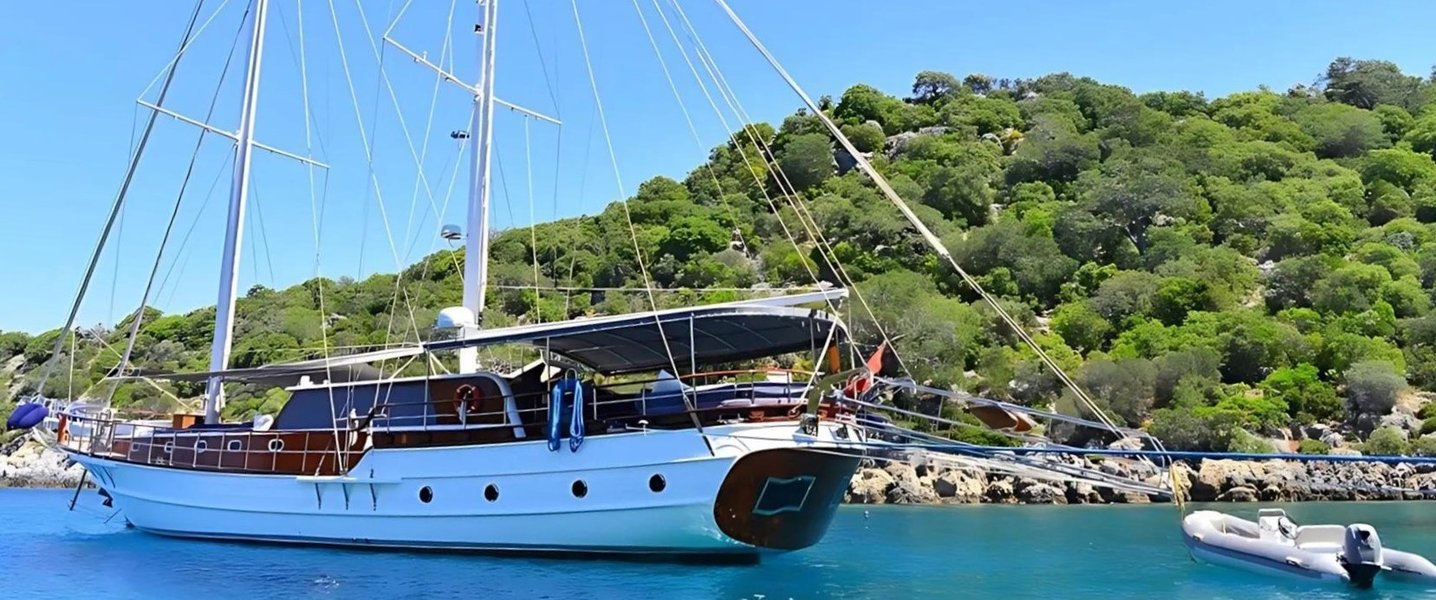 alt_prefix Mehmet Ayaz 