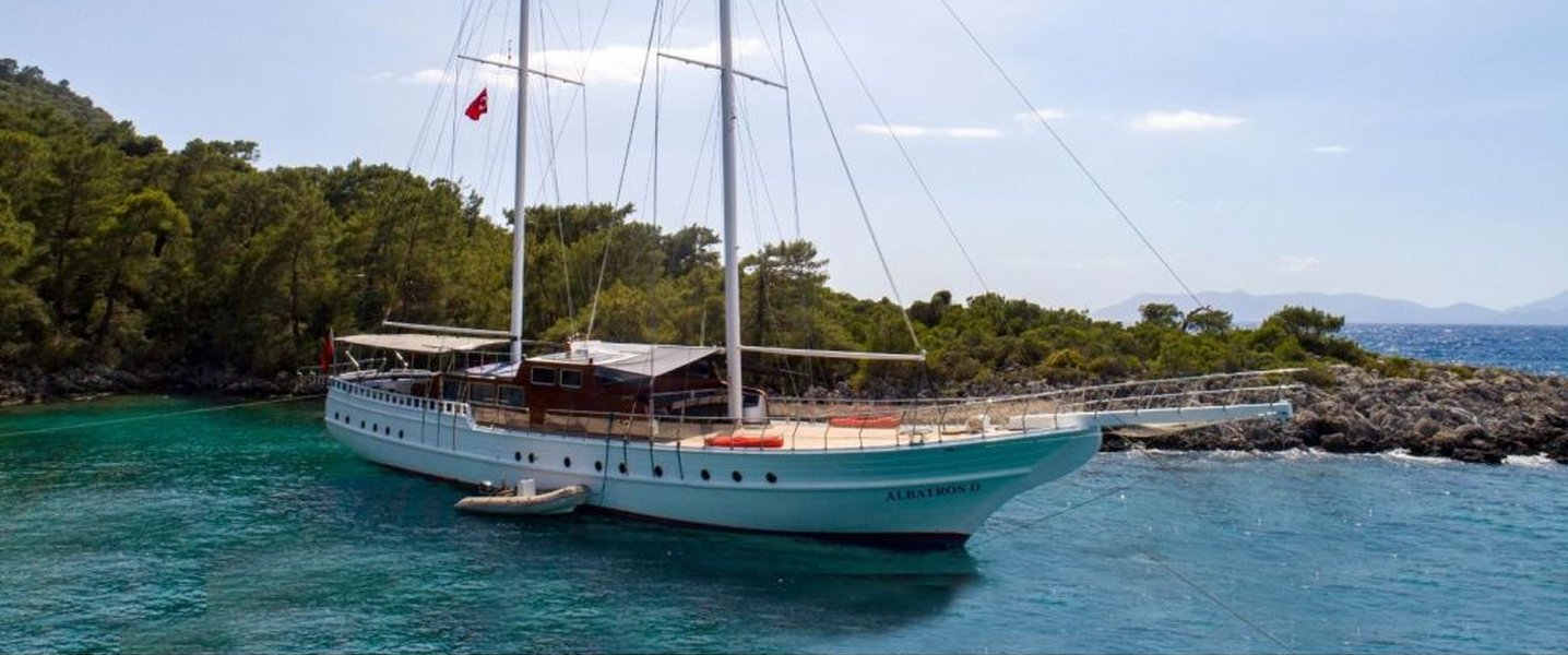 alt_prefix Albatros D 