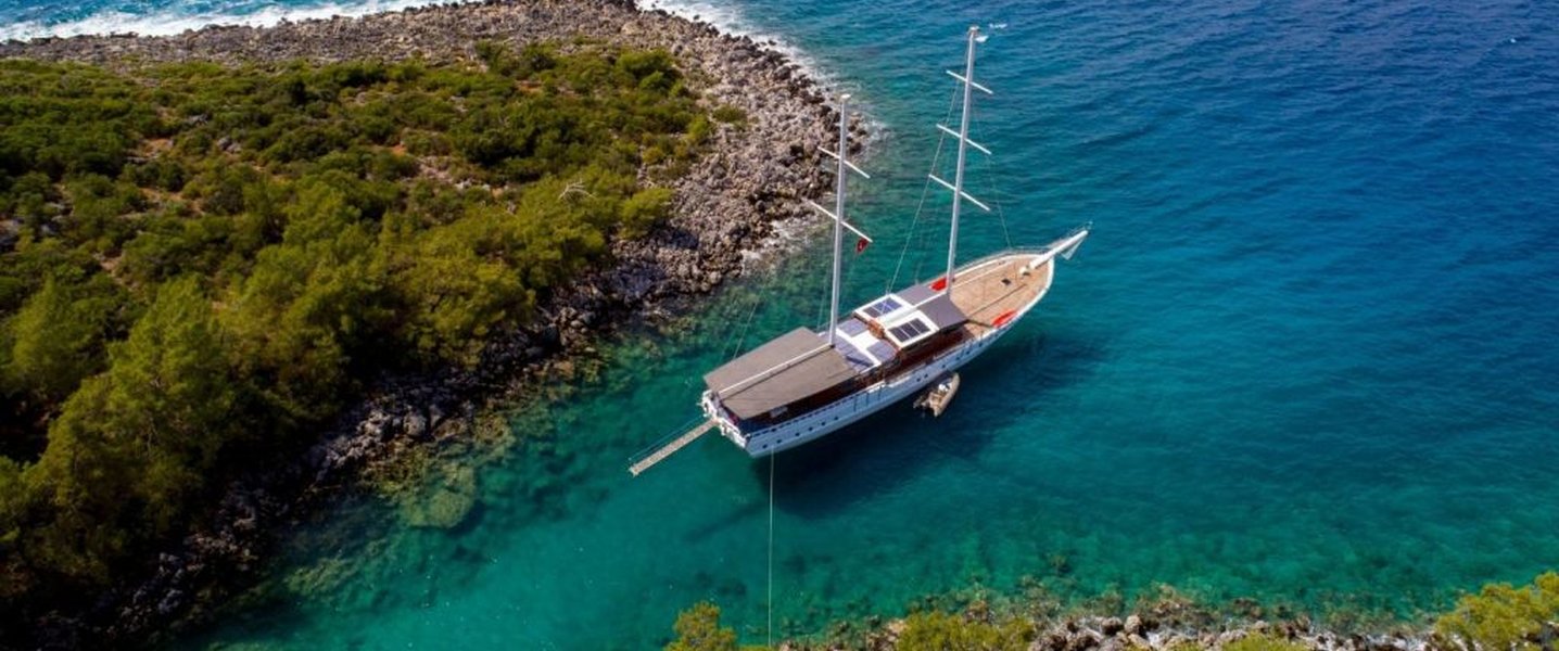 alt_prefix Albatros D 