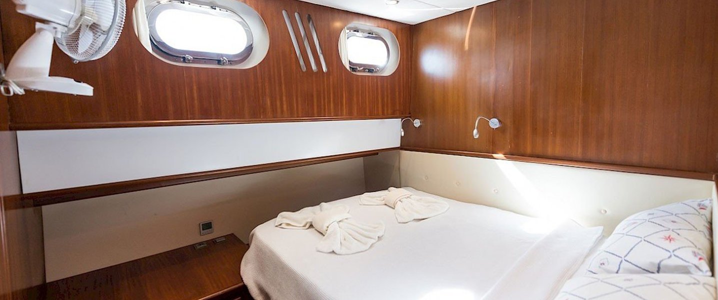 alt_prefix White Rose 