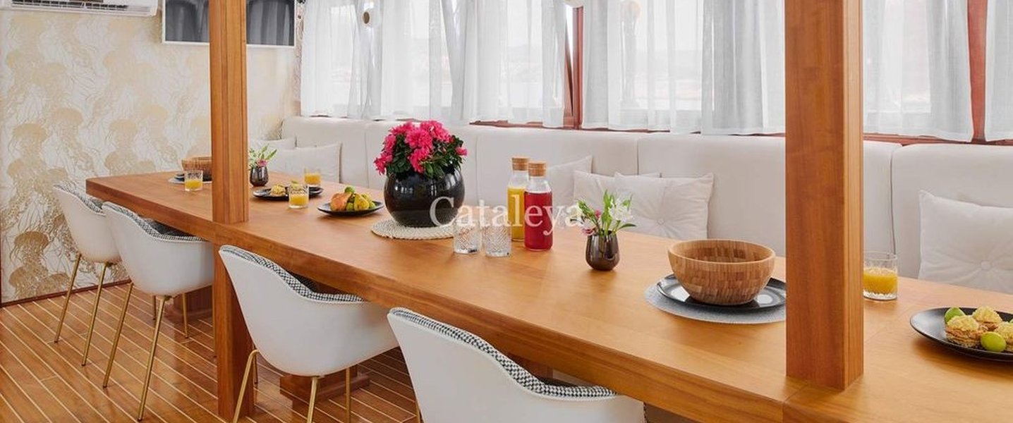 alt_prefix Cataleya (ex Vjeko) 