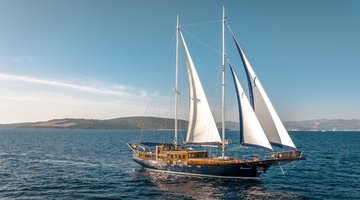 alt_prefix Smart Spirit 