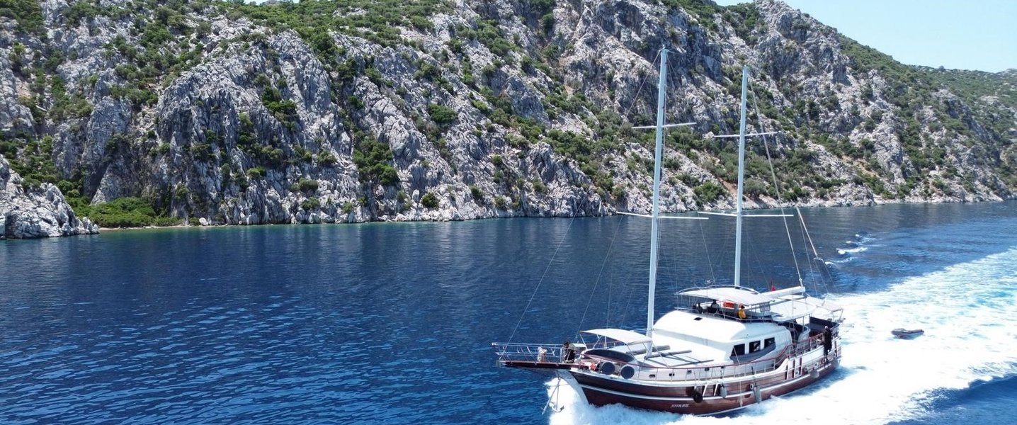 alt_prefix Junior Berk 