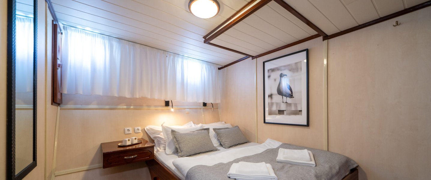 alt_prefix Cataleya (ex Vjeko) 