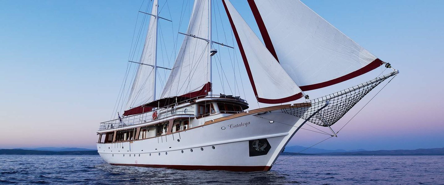 alt_prefix Cataleya (ex Vjeko) 