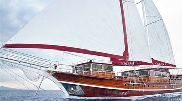 alt_prefix Celike ESD 