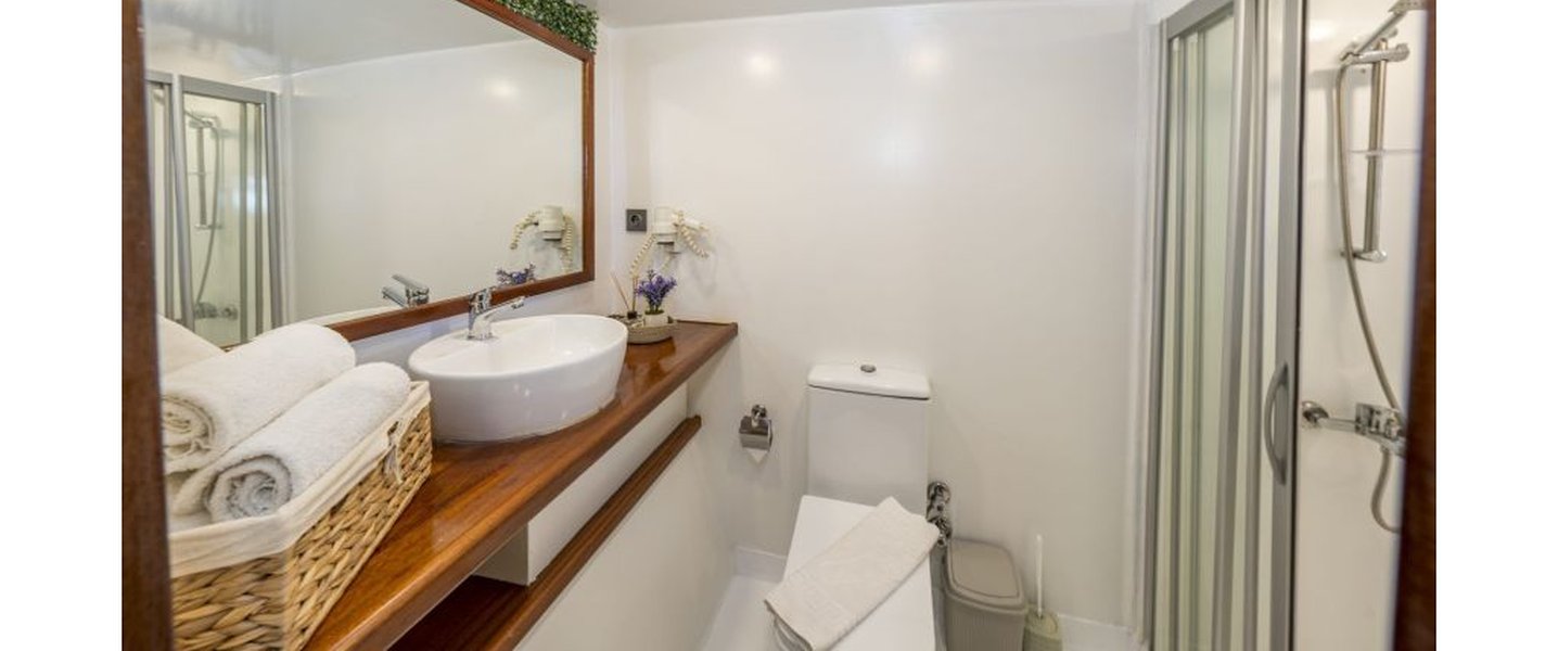 alt_prefix Holiday X 