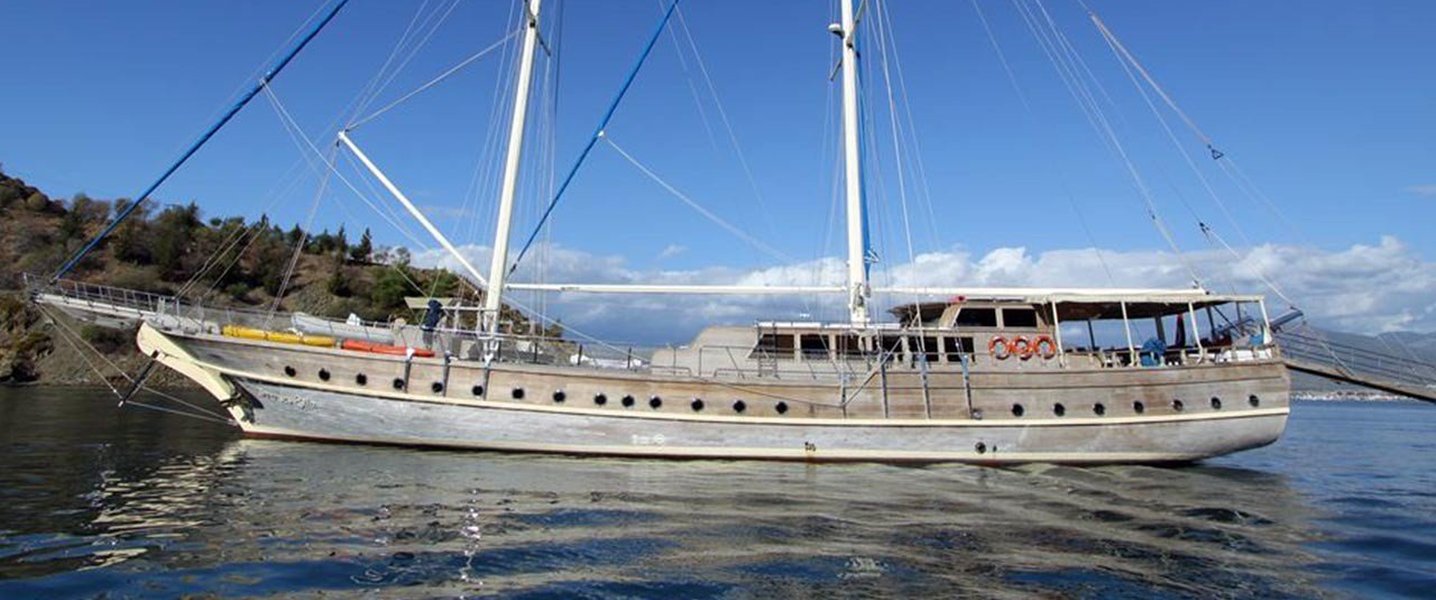 alt_prefix Prenses Lila 