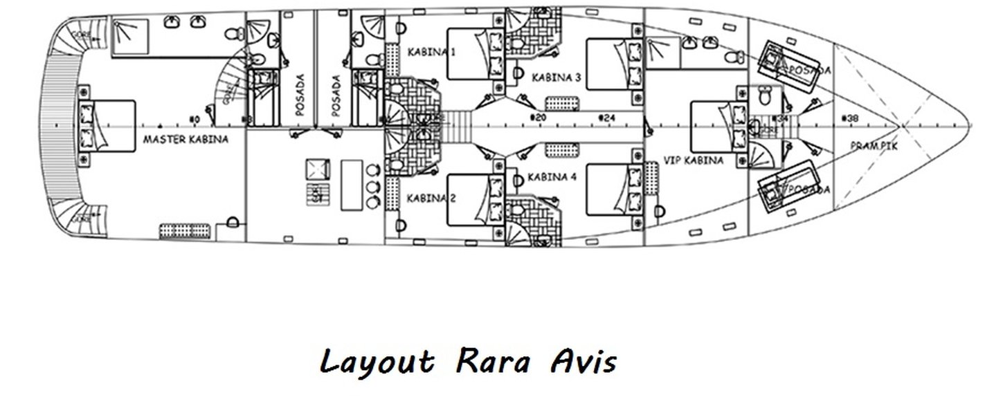 alt_prefix Rara Avis 