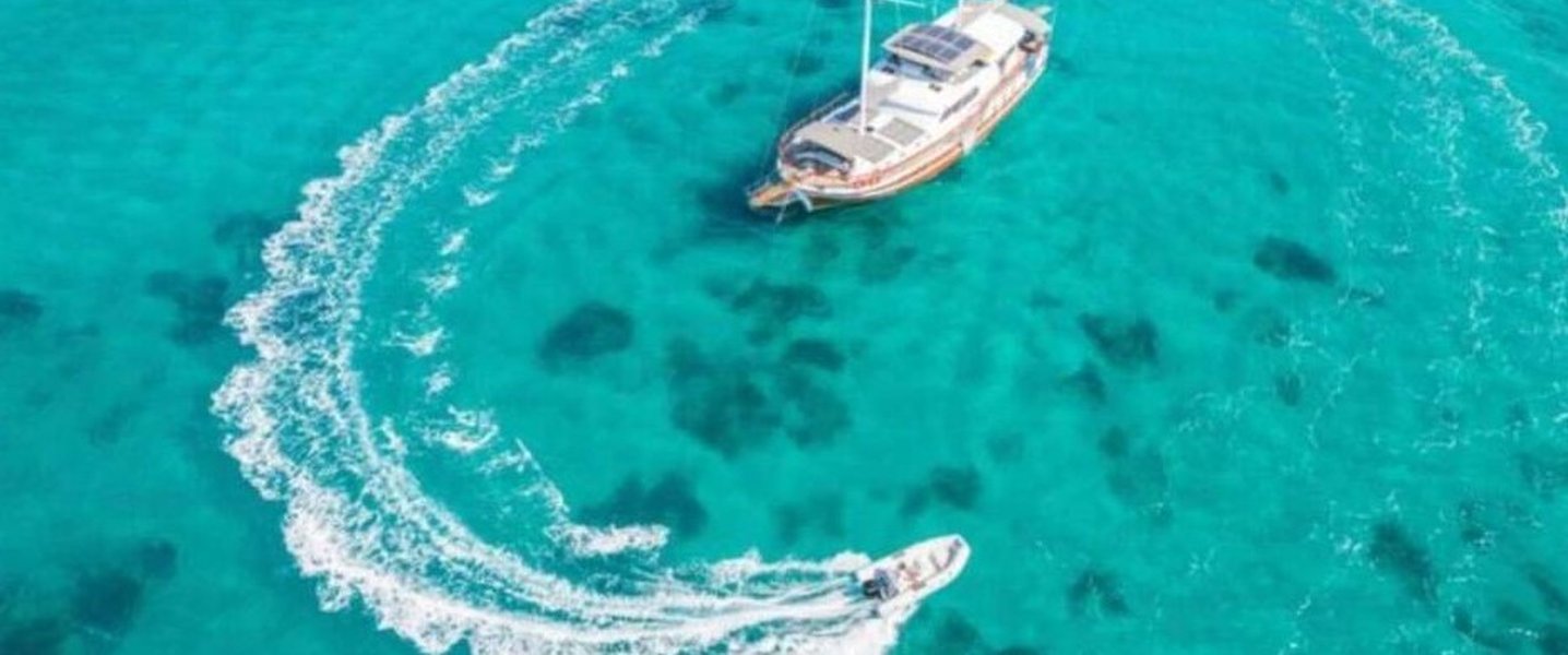 alt_prefix La Mia Stella 