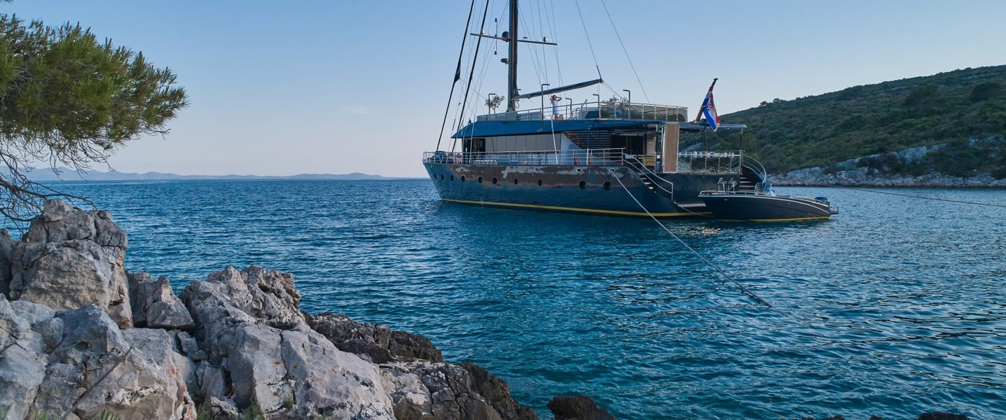 alt_prefix Rara Avis 